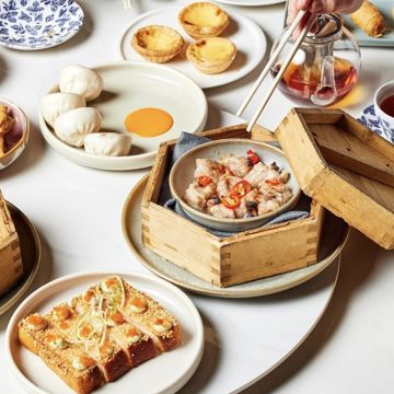 490595555 1273853228073745 6535743007931808636 N