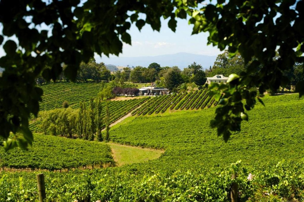 Kellybrook Winery Melbourne Restaurants Best Restaurants of Australia