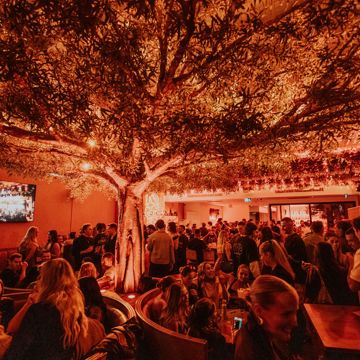 A9cbe990 442D 43Ea B586 2D099c8c7ed8 2 29897147Images CUTBYJACK 38 A3d387