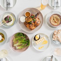 481999084 663783586227009 5163802335208738120 N