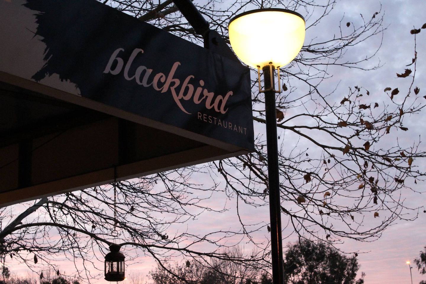Blackbird Restaurant | Best Restaurants Australia