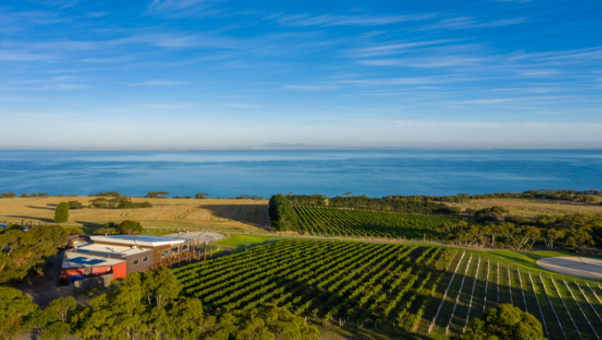 Dine & Stay Package at Jack Rabbit Vineyard | Best Restaurants Australia