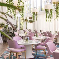 497449622 1264991738962622 5982822675392283011 N