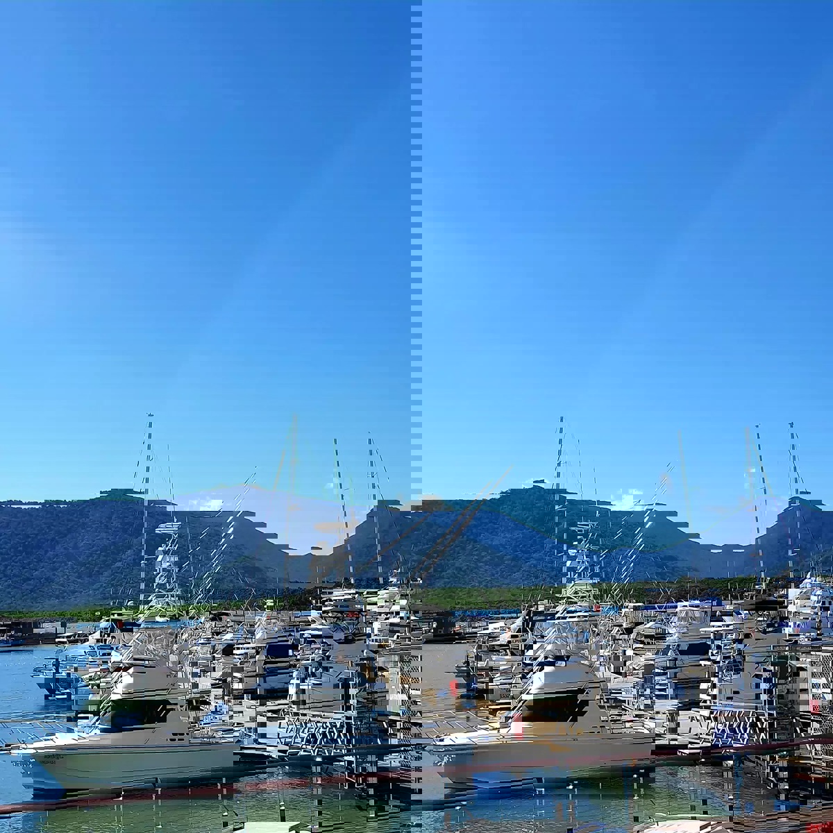 Tha Fish Seafood Restaurant Best Restaurants of Australia