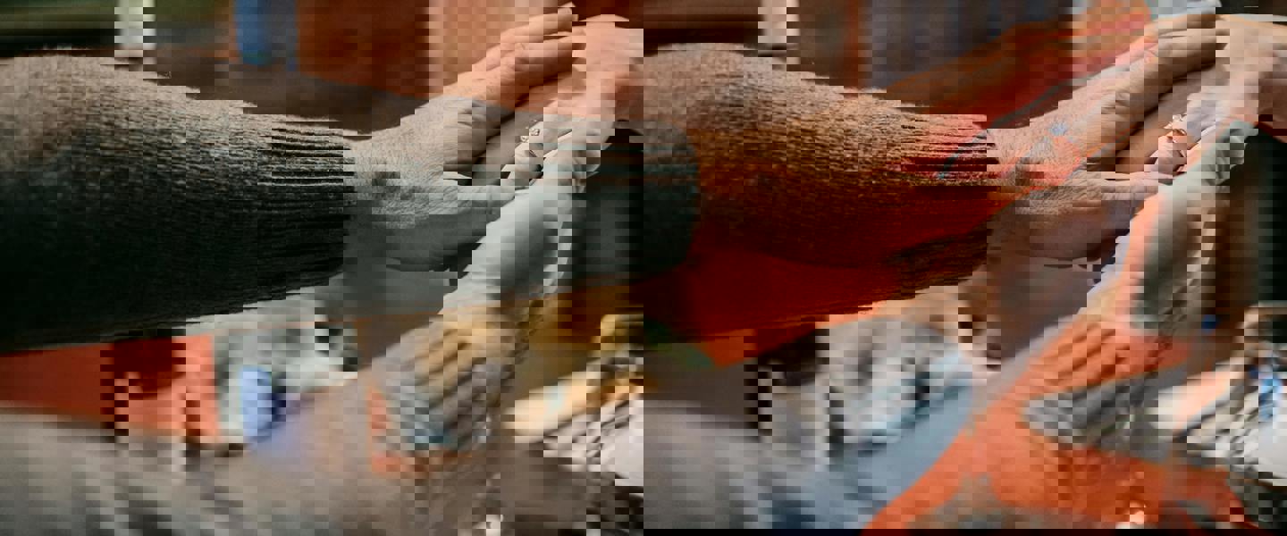 Pexels Gary Barnes 6248895