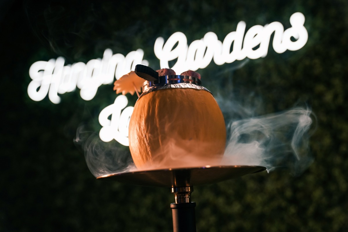 Hanging Gardens Lounge Bars In Melbourne Best Restaurants of Australia