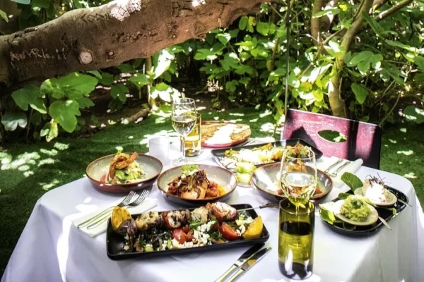 Enchanted Fig Tree Food On Table