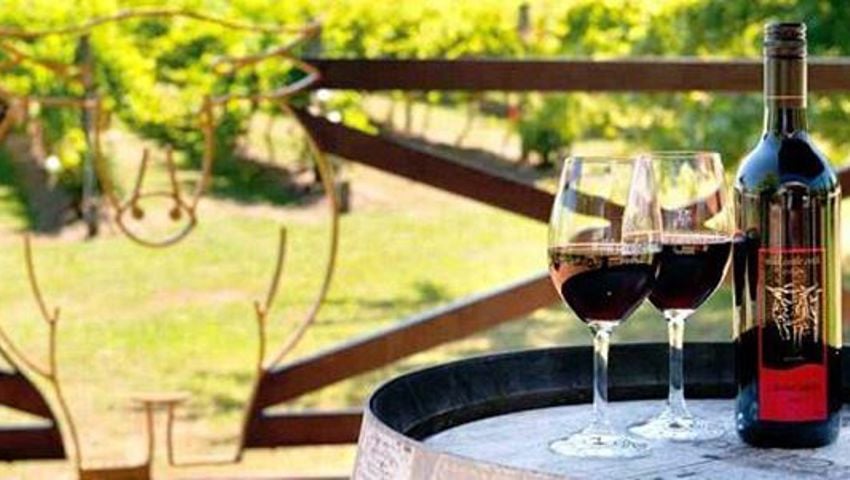 Winery Escape Package For 2 – Yarra Valley2