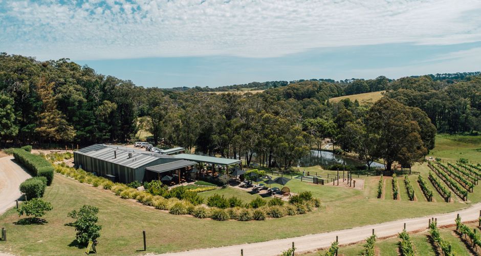 Green Olive at Red Hill - 1