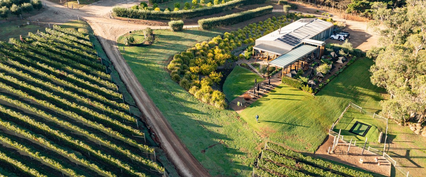 Green Olive At Red Hill1