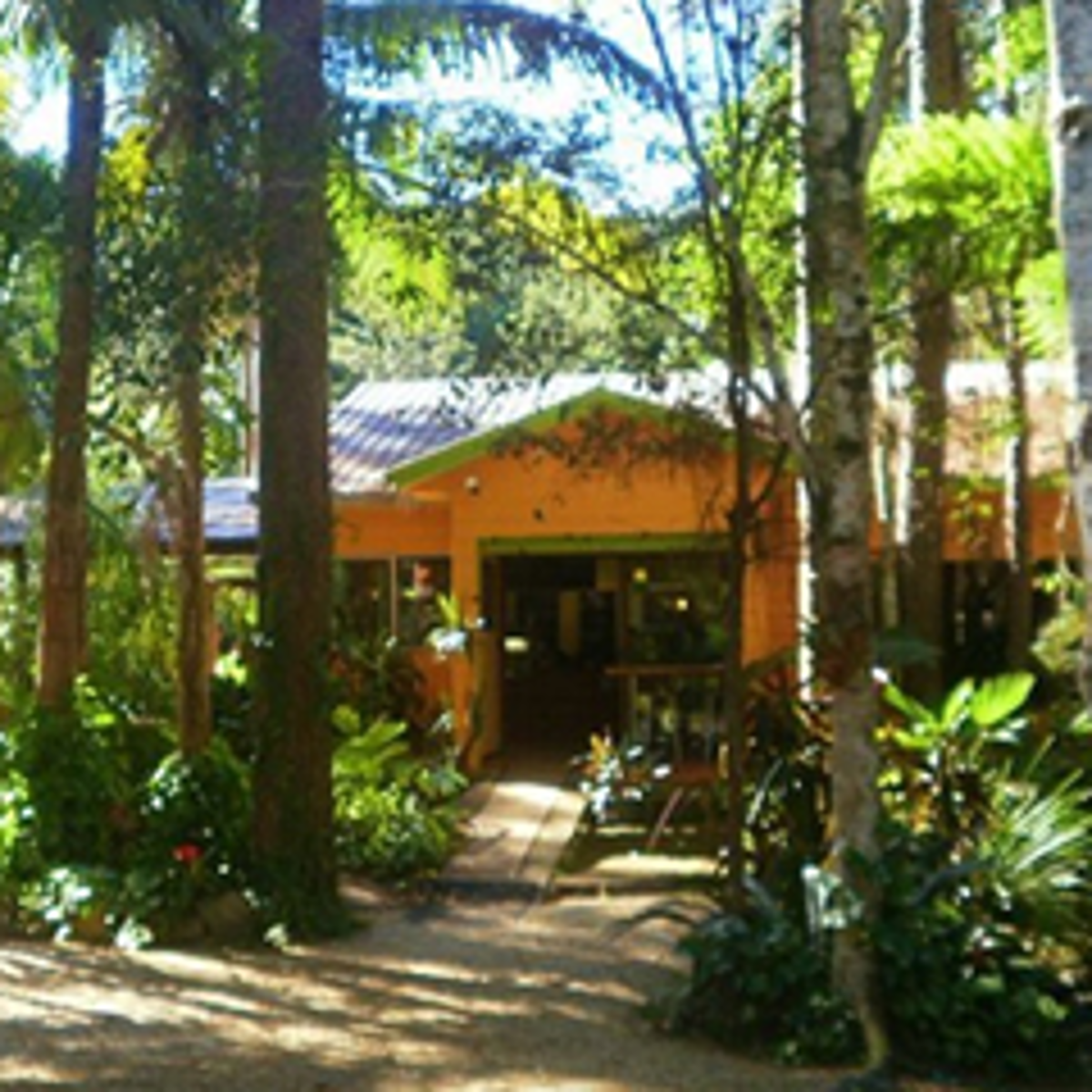Rainforest Cafe Best Restaurants of Australia