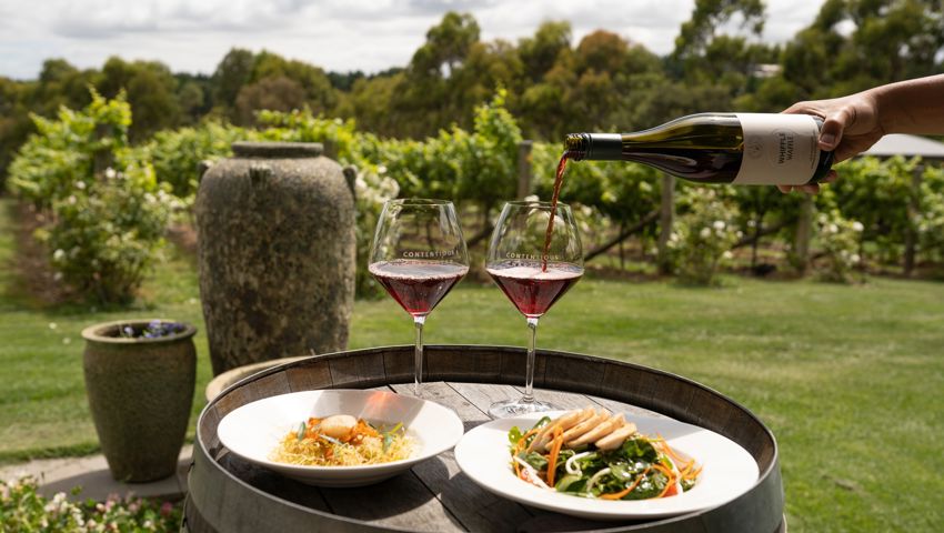 Contentious Character Winery2
