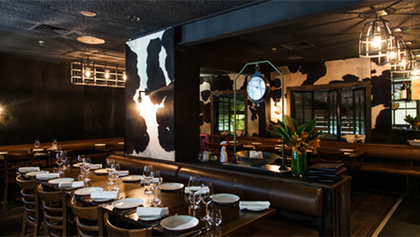 Best Restaurants Chophouse Sydney 01 470X250