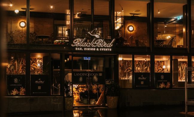 Balckbird Melbourne