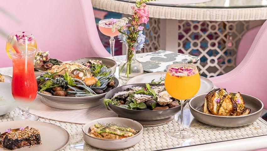 The Botanica Bottomless
