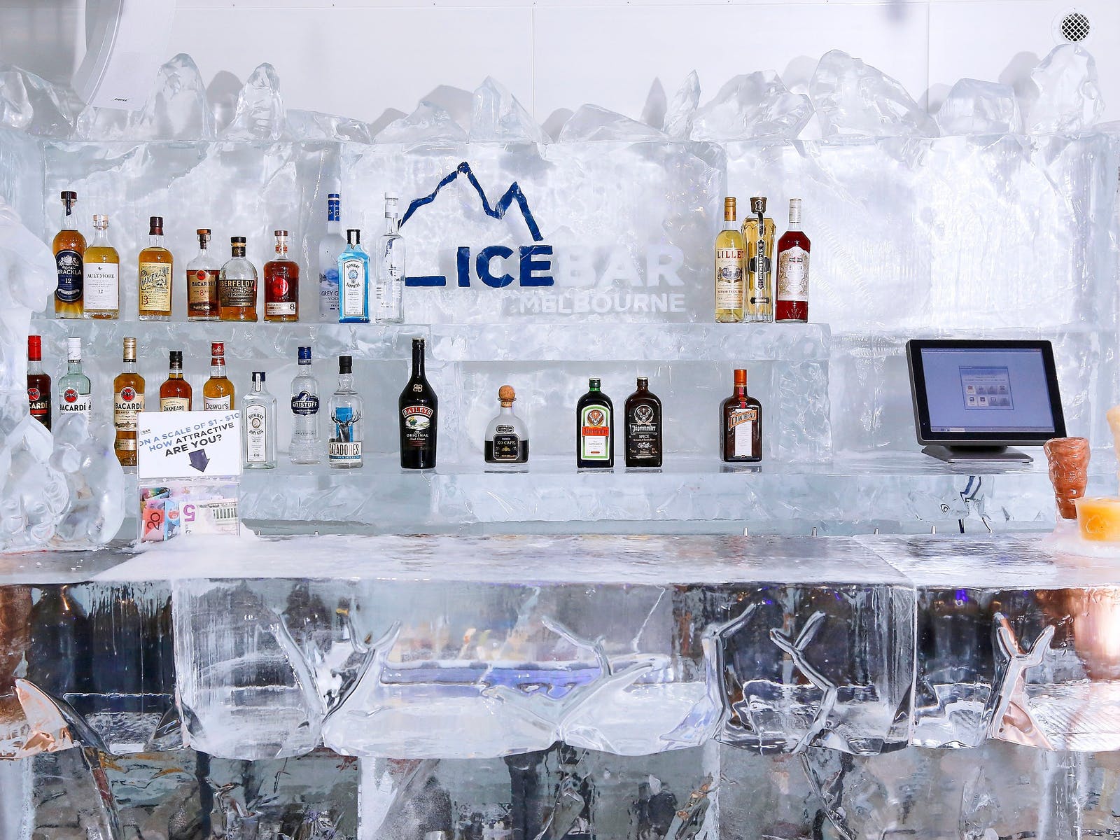 IceBar Melbourne - 2