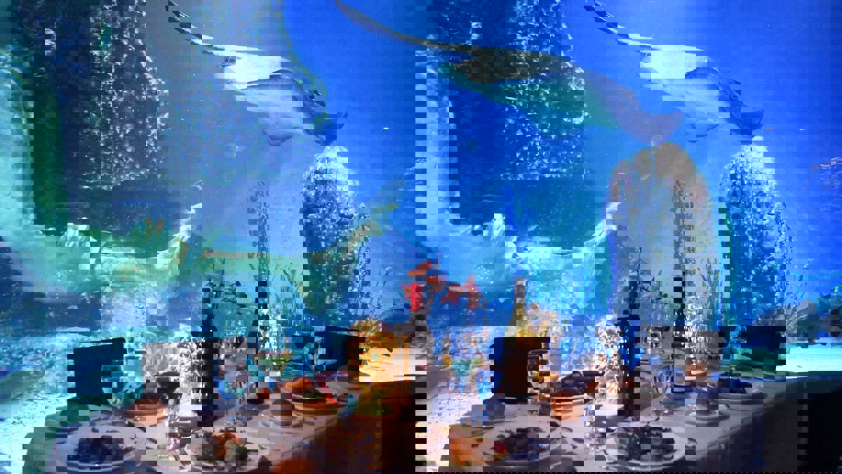 Sydney Aquarium Private Dining Best Restaurants of Australia