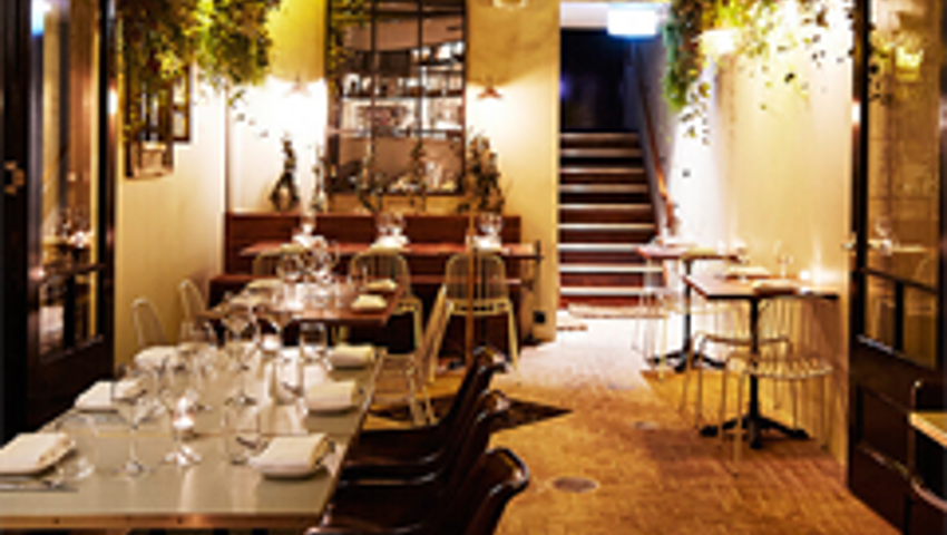 Best Restaurants Tequila Mockingbird 01 240X240