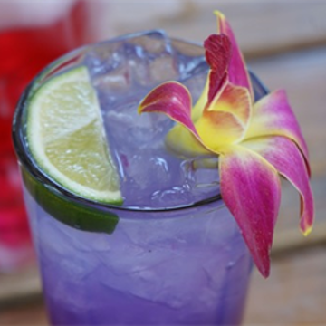 Best Restaurants Blackbird Cafe 07 470X250