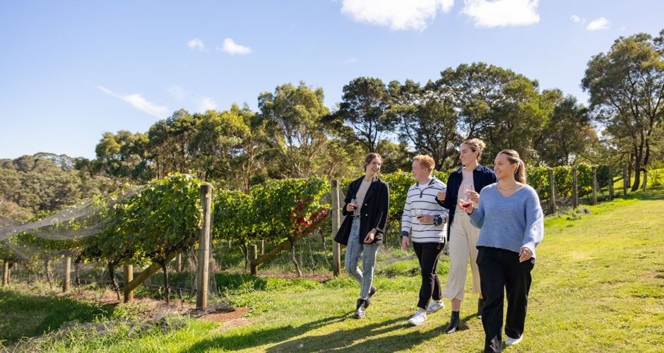 Green Olive at Red Hill - 3
