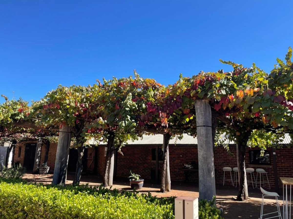 Woodcutters Restaurant At Nikola Estate Best Restaurants Of Australia