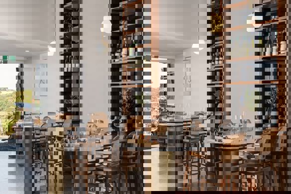 492148746 1157042626432931 2316029837433861922 N