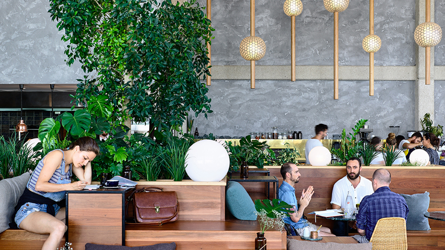 Dining inside Best Restaurants Abacus
