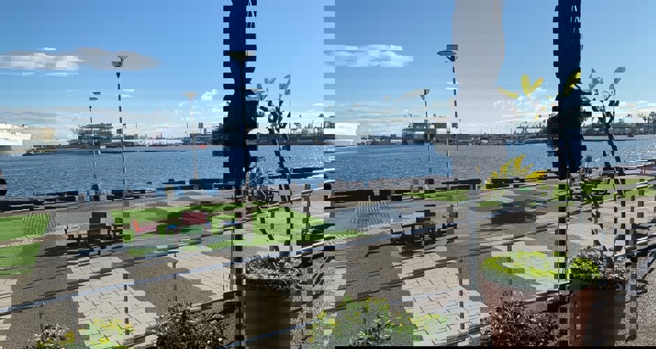 Harbour Bar - 1