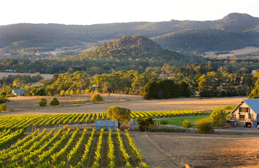 macedeon-ranges-vineyard.jpg
