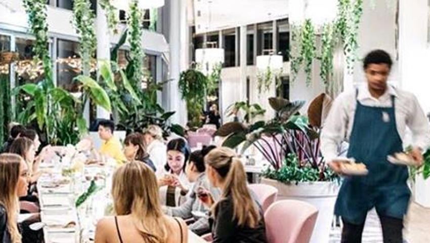 Best Restaurants The Botanica 01 240X240