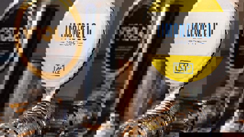 Ladro3