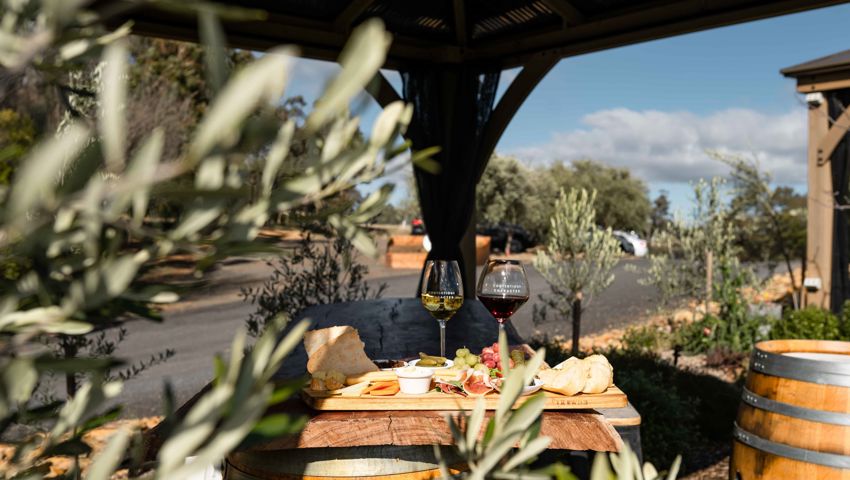 Contentious Character Winery3
