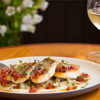 Best Restaurants Punch Lane Wine Bar And Restaurant 03 470X250